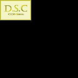 Loisirs créatifs DSC CONSEIL - 1 - 