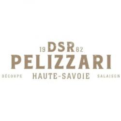 Concessionnaire D.S.R PELIZZARI - 1 - 