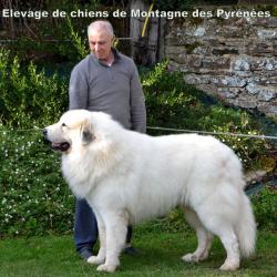 Elevage Du Val De Pyrene - 1 - 