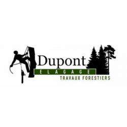 Dupont élagage Les Sorinières