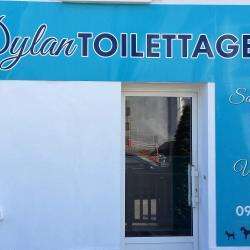 Dylan Toilettage Le Poiré Sur Vie