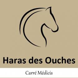 Centre équestre EARL LE HARAS DES OUCHES - 1 - 
