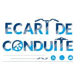Ecart De Conduite Lyon