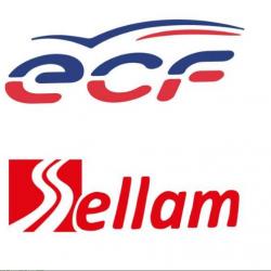 Ecf Sellam (ecole De Conduite Française) Strasbourg