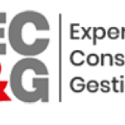 Comptable ECG CONSEILS - 1 - 