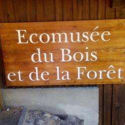 Musée Eco-musée du Bois et de la Forêt - 1 - 