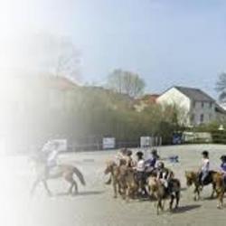 Ecole D'equitation De Chesny Chesny