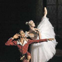 Ballet Etudes Lyon
