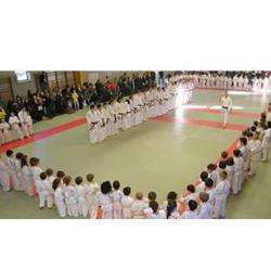 Ecole Tulliste Judo Sainte Fortunade