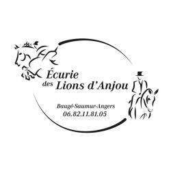 Ecurie Des Lions D'anjou Baugé En Anjou