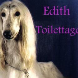 Salon de toilettage Edith Toilettage - 1 - 