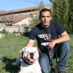 Dressage Education canine FRANCK RUBI - 1 - 