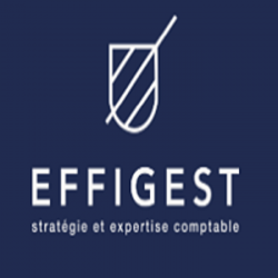 Comptable Effigest - 1 - 