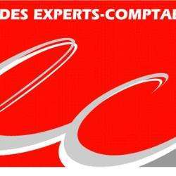 Comptable EFFISSANCE - 1 - Logo Ordre Des Experts-comptables - 