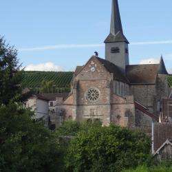 Eglise Saint Antoine  Etoges