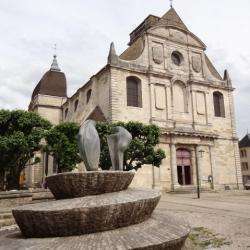 Eglise Saint Georges De Vesoul Vesoul