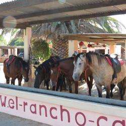 Parcs et Activités de loisirs El Rancho - 1 - 