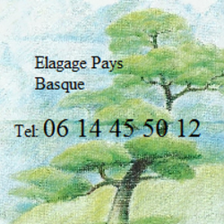Elagage Pays Basque Saint Martin De Seignanx