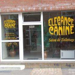 Salon de toilettage elégance canine - 1 - 