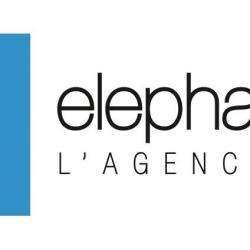 Commerce Informatique et télécom Elephantus - 1 - Logo De L'agence - 