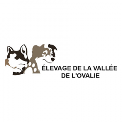 Elevage De La Vallée De L'ovalie Empurany