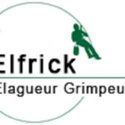 Elfrick, élagueur Grimpeur Du 37 Montlouis Sur Loire