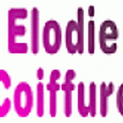 Elodie Coiffure Saint Etienne Du Bois