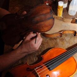 Instruments de musique Eric Suard Luthier Archetier - 1 - 