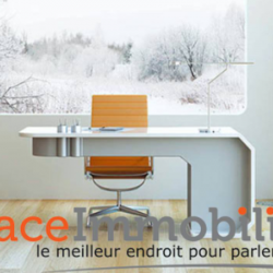 Espace Immobilier Wallers