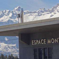 Centre culturel Espace Mont Blanc - 1 - 