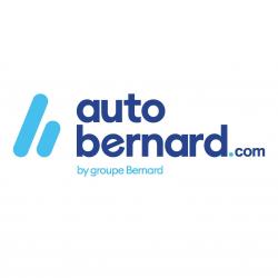 Garagiste et centre auto Esso Bernard - 1 - 