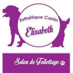 Salon de toilettage ESTHéTIQUE CANIN - 1 - 