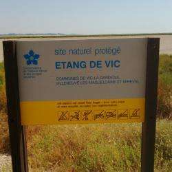 Site touristique Etang de Vic - 1 - 