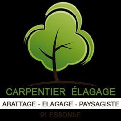 Jardinage Ets Carpentier, élagueur pro du 91 - 1 - 