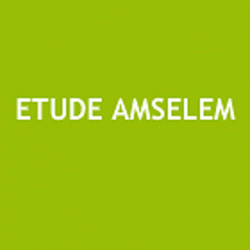 Agence immobilière Etude AMSELEM - 1 - 
