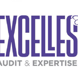 Banque Excelles Audit et Expertise - 1 - 