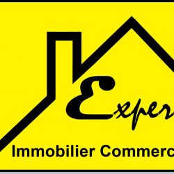 Agence immobilière Expert Immobilier - 1 - 