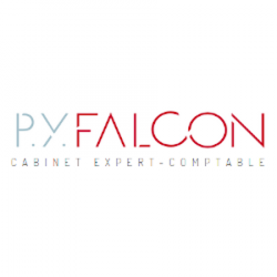 Comptable Falcon Pierre-yves - 1 - 