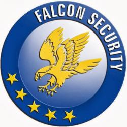 Falcon Security Paris