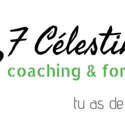 Coach de vie FCélestin Coaching & Formation - 1 - 