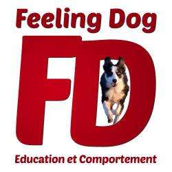 Cours et formations Feeling Dog - 1 - 