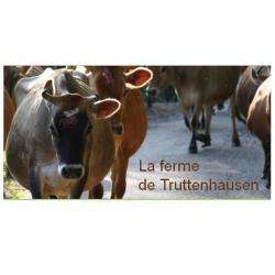 Alimentation bio Ferme de Truttenhausen  - 1 - 