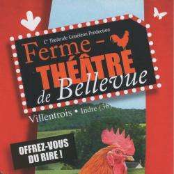 Ferme Théâtre De Bellevue Villentrois