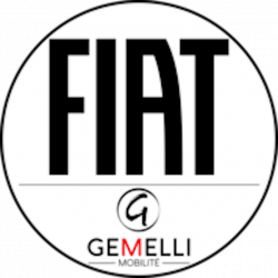 Garagiste et centre auto Fiat / Fiat Pro Orange - Gemelli Mobilité - 1 - 