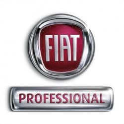 Garagiste et centre auto FIAT PROFESSIONAL TROYES - GROUPE FROMENT - 1 - 