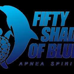 Cours et formations FIFTY SHADES OF BLUE - 1 - Logo Fifty Shades Of Blue - 