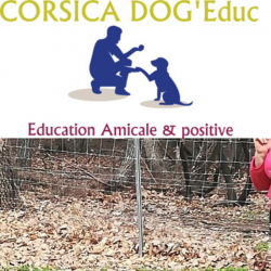 Dressage Corsica Dog Educ - 1 - 