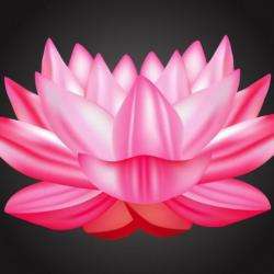 Massage FLEUR DE LOTUS - 1 - Fleur De Lotus - 