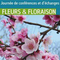 Fleurs Et Floraison Paris