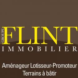 Flint Immobilier Chaumontel